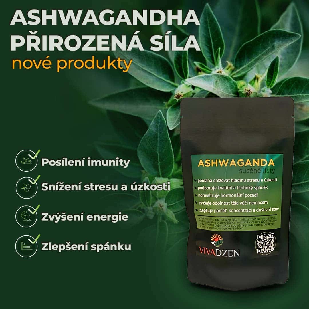 Novinka ve VivaDzen: Ashwagandha – přírodní síla pro vaše zdraví!