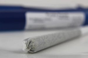 CBD: cesta konopí od textilní rostliny až k wellness průmyslu