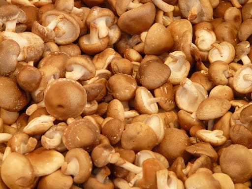 Medicinal mushrooms: origin, effects, and what to watch out for