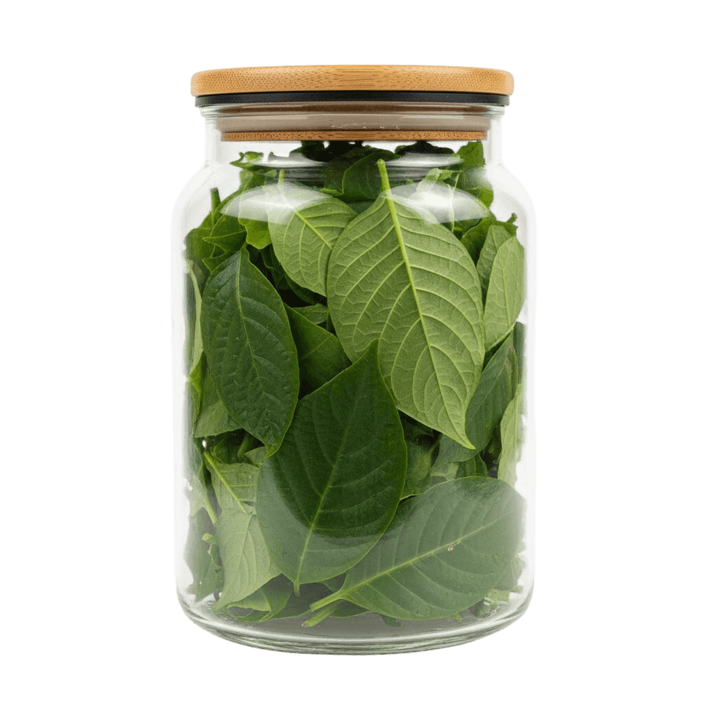 Сертифицированный продукт Vivadzen