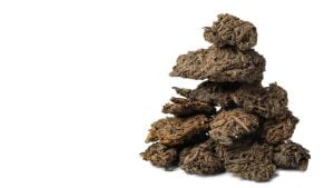 Китайские чаи Китайские чаи